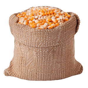 Vende granos de maíz amarillo para alimentación animal/maíz de alimentación animal - Product Image 5