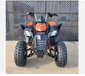 Liste des meilleurs 2024 -- Cann-Am DS 250 avec livraison anticipée porte-à-porte Support OEM personnalisé - Product Image 2