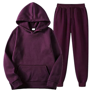 Automne hiver 2 pièces hommes survêtements couleur unie pull à capuche avec survêtement d'entraînement grande taille loisirs loisirs - Product Image 3