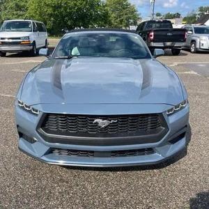 2024ราคาไม่แพงสำหรับ-D Mus-Tang ecob-Oost pre mium - Product Image 1