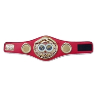 Personnalisé MMA BJJ MUAYTHAI GYM CLUB Championnat Ceinture Équipement de Fitness Accessoire pour Boxe MMA Muay Thai Titres
