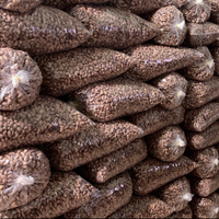 Vietnamesische Cashewnüsse Spezialität Geröstete Premium-Cashews Marke Hiva's Cashews Größe W180 W320 W450 Exportbereit Günstiger Preis