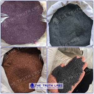 ホーリーバジルシード (Tulsi Beej) Sortex Cleanedアーユルヴェーダシード (ハーブ配合 & ウェルネス製品用) - Product Image 4