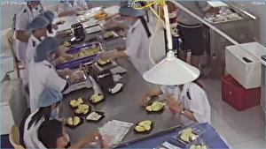 Durian congelado orgánico vietnamita 500 gramos fruta fresca irradiada que cumple con los estándares EUR1 para productos agrícolas - Product Image 3