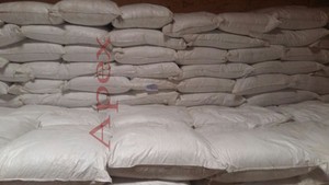 Hojas de Stevia Cortadas en T, Hojas de Stevia Cortadas en T con 24 Meses de Vida Útil, Hechas en India (Rajasthan), Proveedor a Granel - Product Image 5