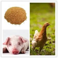 Chất lượng cao protein đậu nành bữa ăn được sử dụng như một thức ăn chăn nuôi bán buôn Nhà cung cấp và xuất khẩu từ phía Nam Ấn Độ với giá tốt nhất - Product Image 5