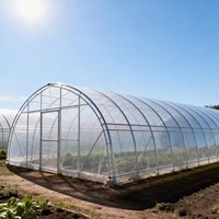 Serre commerciale à grande portée en film plastique avec structure en acier galvanisé stabilisé aux UV pour la culture de légumes et de fleurs