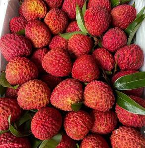 ราคาที่ดีที่สุดสำหรับลิ้นจี่แช่แข็งสำหรับผู้ซื้อขายส่งและผู้นำเข้า // MS Laura - Product Image 6