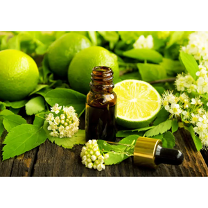 Aceite Esencial 100% Puro Certificado GMP Prensado en Frío de Árbol de Té y Cáscara de Lima Mejores Precios Exportador al por Mayor de Italia - Product Image 2