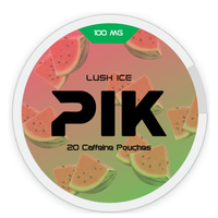 Sachets de Snus Glacés Fruité Premium, Doux, Rafraîchissants et Énergisants, Vente en Gros