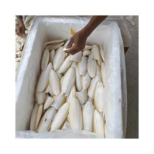 Hueso de sepia recortado limpio y seco para exportación a precio competitivo Cuttlebone en cuidado de mascotas de alta calidad desde 99GD - Product Image 5