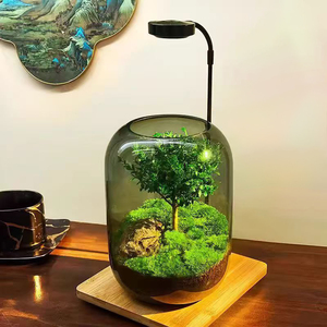 Nieuwe Led Aquarium Aquarium Aquarium Aquarium Aquarium Licht Voor Vivarium Terrarium, Potplanten, Succulent, Miniatuur Tuinieren Landschap Voor Huisdecoratie - Product Image 1