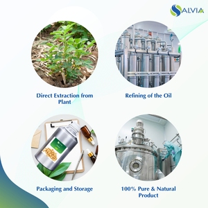 Huile d'arachide 100% pure et naturelle en gros en vrac prix le plus bas emballage personnalisé - Product Image 4