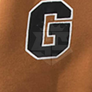 Meilleure vente Vêtements de mode Veste Letterman Nouveau style Veste d'hiver Letterman coupe-vent pour hommes - Product Image 5