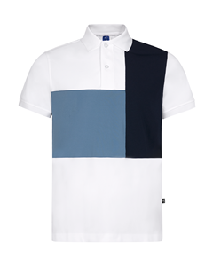Prix d'usine Polo Homme Regular Fit Polos pour hommes de haute qualité Polo tricolore à séchage rapide Fabricant du Vietnam - Product Image 1