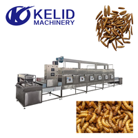 Machine de séchage au micro-ondes entièrement automatique à commande PLC pour larves d'araignées bleues (BSF), insectes et vers de farine, avec certification CE