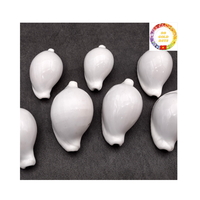 Vente en gros de coquilles de cauri naturelles petites et grandes tailles du Vietnam pour la décoration de la maison de bijoux et la fourniture d'artisanat