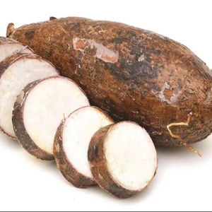 MEJOR VENDEDOR 2025 EXPORTACIONES DE VIETNAM HOJA DE YUCAVA CONGELADA NUEVO MODELO ALTA CALIDAD PRECIO COMPETITIVO/MS. SELINA - Product Image 1