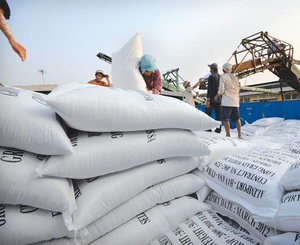 Lo mejor es que todo funciona, así que hielo. - Product Image 1