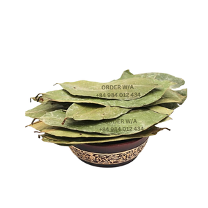 Feuilles de corossol séchées 100% naturelles originaire du Vietnam à prix compétitif, bon pour la santé - Product Image 5