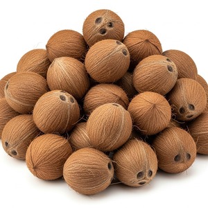 Noix de coco brunes fraîches pour l'exportation en vrac Semi décortiquées Idéal pour l'extraction d'huile d'eau de noix de coco potable et l'utilisation de l'industrie alimentaire - Product Image 1