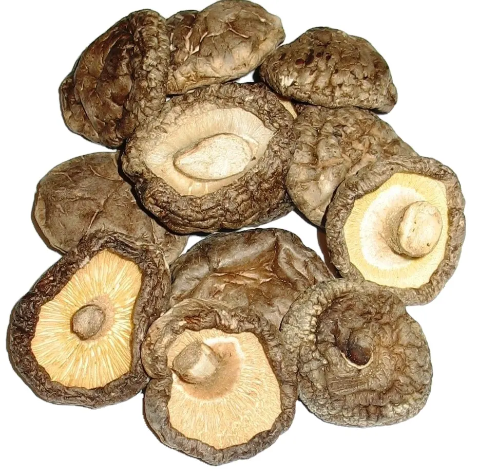Wholesale Dried shiitake mushroom - Good Price - 2023 - Ms. Esther (WhatsApp: +84 963590549)