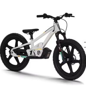 Nueva Motocicleta Eléctrica de Equilibrio EE 1.20 Disponible para la Venta - Product Image 5