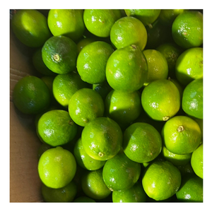 Lima fresca, cítricos tropicales frescos, perfectos para cocinar Lima fresca, mejora los sabores en los platos y cumple con los estándares de calidad de exportación - Product Image 2