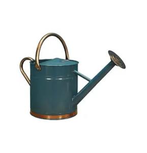 Expensive Design <b>garden</b> watering can Iron metal Finished <b>Garden</b> Hand <b>Tools</b> Used For Home And <b>Garden</b> Decor - Product Image 2