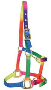 Licol de cheval couleur arc-en-ciel en cuir de haute qualité en nylon PVC collier de tête licous de cheval réglables avec un design unique en PP - Product Image 3