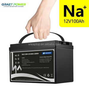 Batería de estado sólido LiFePO4 de ciclo de vida prolongado 12V/12.8V 100Ah para almacenamiento solar en RV con BMS, densidad de energía de 140-160 Wh/kg - Product Image 1