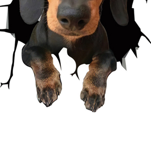 Calcomanías <span class=keywords><strong>de</strong></span> grietas 3D <span class=keywords><strong>para</strong></span> ventana <span class=keywords><strong>de</strong></span> coche, pegatinas estáticas divertidas y realistas <span class=keywords><strong>para</strong></span> el borde del perro, la <span class=keywords><strong>nevera</strong></span> y la puerta <span class=keywords><strong>de</strong></span> cristal - Product Image 3