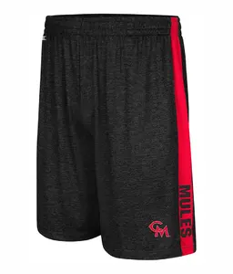 Fashionable Look Mobility Basketball Shorts Design Moisture-wicking Fabric Ripstop Fabric Classic Tennis Outdoor Custom Men High