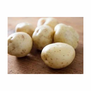 Patatas amarillas doradas frescas, patatas frescas orgánicas, patata blanca de alta calidad, buenas verduras, Exportación fresca, precio al por mayor - Product Image 5