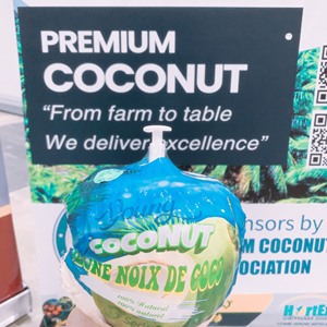 ¡Refresque y reponga con la bebida perfecta de la naturaleza, cocos frescos que incluyen cáscaras para la hidratación! - Product Image 1