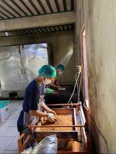 Sucre de Coco Biologique Premium en Poudre, Paquet de 1 kg, Vente en Gros en provenance d'Indonésie - Product Image 5