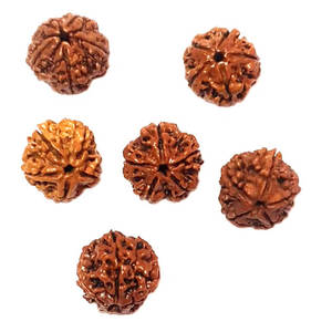 Hạt Rudraksha Nâu Tự Nhiên Từ 1 Đến 6 Mặt Rudrksha Dành Cho Pooja Và Thiền Định Từ Ấn Độ - Product Image 3
