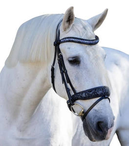 Marine Floral Snaffle Bridle Vente chaude Portable Disponible 100% Prix compétitif Équitation de l'exportateur indien - Product Image 2