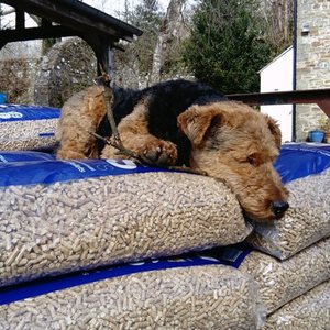 Pellets de madera de pino europeo DIN PLUS/EN Certificado de alta calidad Leña Bolsa de 6mm de diámetro Pellets de madera europeos embalados - Product Image 3