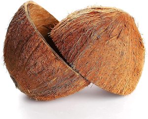 Cuencos Ovalados de Cáscara de Coco Cruda |   Tazón de Comedor Hecho a Mano Natural |   Vajilla Sostenible al por Mayor - Product Image 3