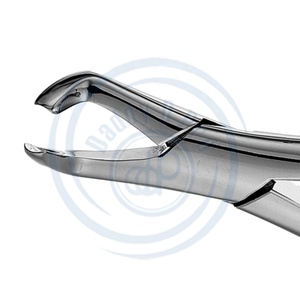 Dental Extraction Forceps #222 | High-Quality Stainless Steel <b>Surgical</b> <b>Instrument</b> for Oral Surgery & Tooth Extraction CE ISO - Product Image 5