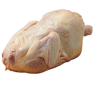 Oferta Limitada: Pollo Entero Congelado IQF Orgánico, Completamente Limpio, Sin Manchas Negras, Empacado a Granel para Distribución Global - Product Image 2