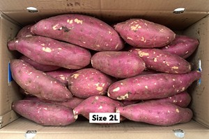 IQF Peeled Oriental <b>Pickling</b> Sweet Potato Tuber Special Shape Frozen Fruit Grade Vietnam Origin Bulk Vacuum <b>Pack</b> for Cooking - Product Image 3