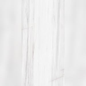 Cardamom <b>Pod</b> High Polish Gloss Vitrified Porcelain 600x1200mm Aromatic Spice for Culinary Schools - Product Image 4