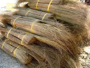 MEILLEUR PRIX Blue Lotus 2025 Bâton de balai de noix de coco avec fibres naturelles pour un balayage intérieur et extérieur lisse - Product Image 6