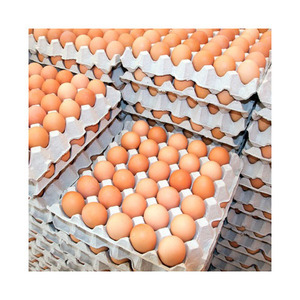 Huevos marrones listos para exportación, huevos con cáscara de calidad alimentaria - Product Image 1
