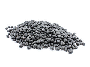Frijoles de riñón negros moteados ligeros del fabricante Frijoles de Pinto y azul marino secos y envasados a granel para uso alimentario disponibles a granel - Product Image 3