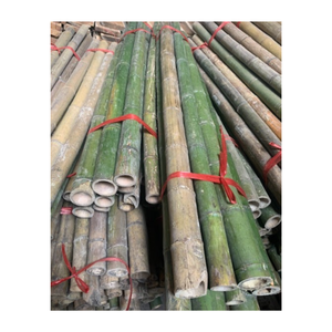 Long Bamboo <b>Poles</b> <b>for</b> Construction & Building Materials High Quality Natural Strong Straight Bamboo <b>Pole</b> <b>Gardening</b> - Product Image 1