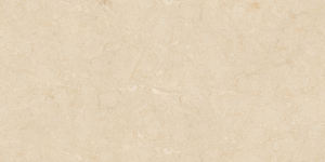 Todo el tiempo disponible Tablón de madera de diseño regular gres porcelanto para lugares públicos. - Product Image 4