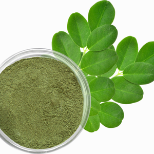 ใบมะรุมแห้งและแป้งจัดส่งเร็ว - Product Image 2